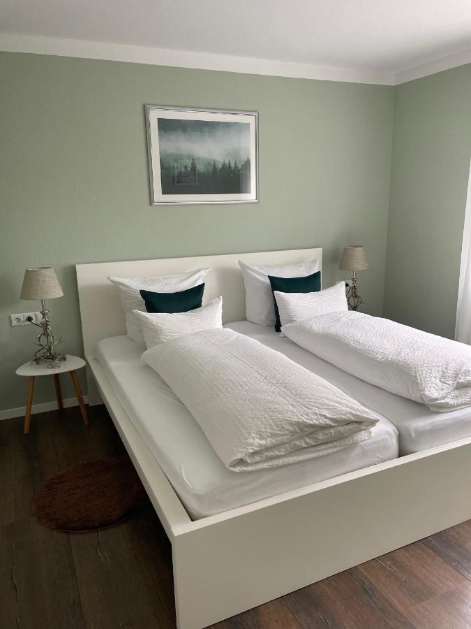 Blackforest Apartment Freudenstadt Buitenkant foto