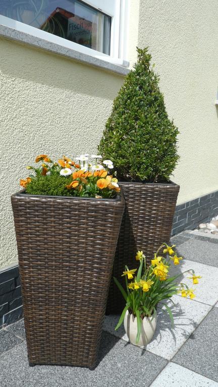 Blackforest Apartment Freudenstadt Buitenkant foto